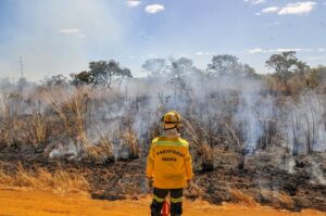 Curso do GDF e do Ibama formará brigadistas para prevenir e combater incêndios florestais no DF