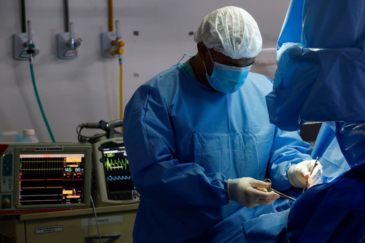 Dia Mundial da Doença de Chagas reforça importância do diagnóstico precoce