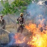 Fapeg lança chamada pública para projetos que visam prevenir incêndios no Cerrado