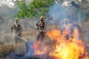 Fapeg lança chamada pública para projetos que visam prevenir incêndios no Cerrado