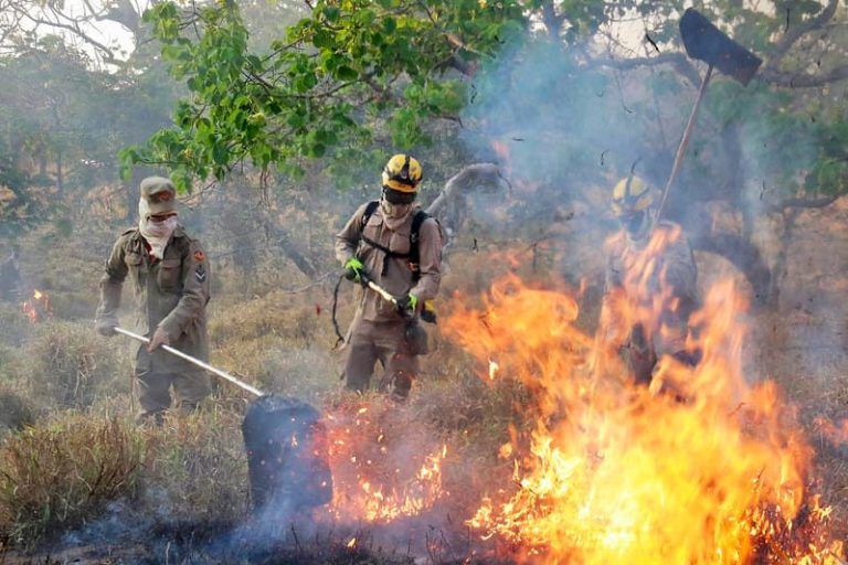 Fapeg lança chamada pública para projetos que visam prevenir incêndios no Cerrado