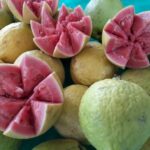 Feira da Goiaba de Brasília começa com celebração à produção rural e expectativa de movimentar economia local