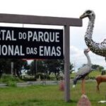 Governo ativa 33 pontos de Wi-Fi público e amplia conectividade no estado