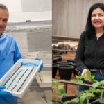 Inclusão dos pesquisadores brasileiros na lista das cem pessoas mais influentes da revista Time reflete importância do investimento na ciência