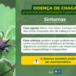 Mês de conscientização sobre a doença de Chagas alerta para cuidados e risco de contaminação