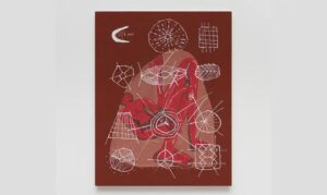 Museu do Pontal faz Festival das Culturas Indígenas no Rio de Janeiro