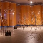 Museu Nacional apresenta 36ª Bienal de São Paulo, em formato itinerante