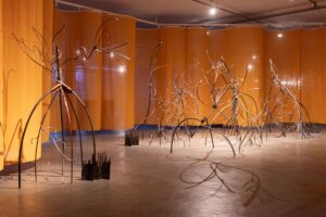 Museu Nacional apresenta 36ª Bienal de São Paulo, em formato itinerante