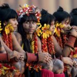 Programa de saúde do governo já atendeu mais de 24 mil indígenas