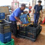 Programa Desperdício Zero da Ceasa-DF destina 96,2 mil kg de alimentos a 57 entidades nos primeiros três meses de 2026