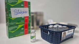 Saúde orienta sobre primeiros socorros em casos de picadas de cobra