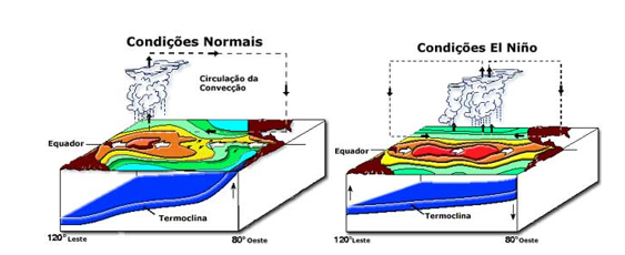 Legenda: À esquerda, o funcionamento da Célula de Circulação Walker em condições normais. À direita, a célula sob a influência do El Niño. Fonte: CPTEC/INPE