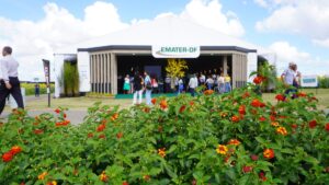 AgroBrasília 2026 terá nove circuitos tecnológicos com soluções para aumentar a produção sustentável