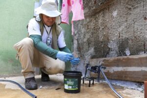 Auditoria avalia armadilhas que capturam mosquitos e ajudam o DF a combater a dengue