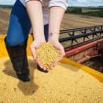 Balança comercial goiana registra superávit de US$ 1,047 bilhão em abril