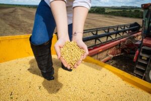 Balança comercial goiana registra superávit de US$ 1,047 bilhão em abril
