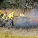 Blitz educativa no Riacho Fundo II reforça prevenção aos incêndios florestais no período de seca