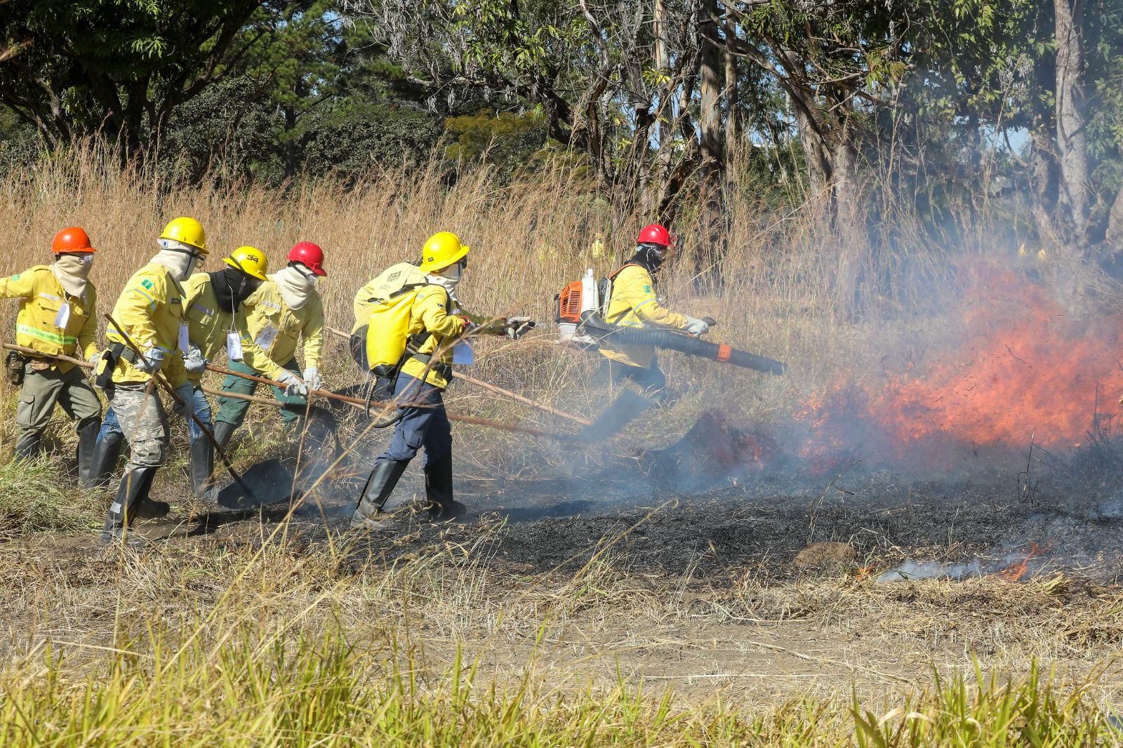 Blitz educativa no Riacho Fundo II reforça prevenção aos incêndios florestais no período de seca