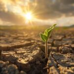 Brasil fortalece cooperação internacional para transformar compromissos climáticos em projetos financiáveis