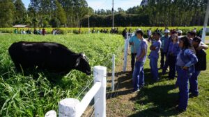 Circuito da Bovinocultura na AgroBrasília tem foco na produção de carne