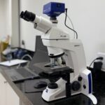 Como soluções biológicas do campo podem transformar o cuidado ambiental nas cidades