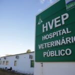 Consulta para melhorar o Serviço Veterinário Público do DF começa nesta sexta-feira (8)