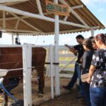 DF mostra força com transferência de tecnologias durante a AgroBrasília 2026