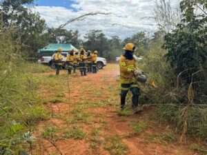 Equipes especializadas realizarão manejo do fogo em unidades de conservação do DF