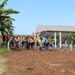 Espaço da Fruticultura da Emater-DF na AgroBrasília apresenta técnicas para ampliar renda