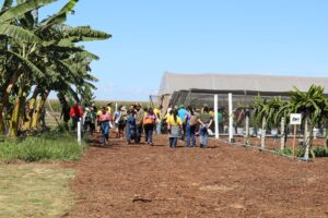 Espaço da Fruticultura da Emater-DF na AgroBrasília apresenta técnicas para ampliar renda