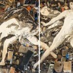 Exposição no CCBB Rio celebra trajetória do artista Vik Muniz