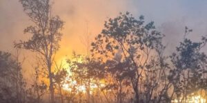 Fapeg lança edital voltado à prevenção de incêndios e proteção da biodiversidade em Goiás