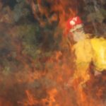 GDF decreta emergência ambiental para reforçar combate a incêndios florestais