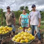 Goiás terá semana de cadastro para agricultura familiar