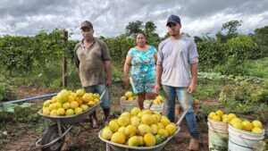 Goiás terá semana de cadastro para agricultura familiar