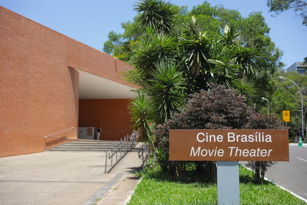 Longa ‘Os Pássaros’, de Hitchcock, ocupa a Sessão Clássicos de maio no Cine Brasília