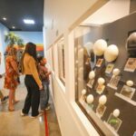 Museu de Ciências Naturais do Zoológico de Brasília é reaberto após reforma