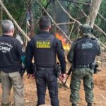Polícia Federal combate garimpos ilegais nos estados do Amapá e Pará