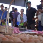 Sistema de produção de ovos aposta em eficiência e rentabilidade