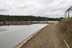 Usuários da Saneago em Goianésia poderão negociar débitos relativos a esgotamento sanitário