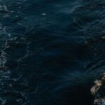 Brasil passa a integrar grupo que vai definir estratégias globais para monitoramento dos oceanos