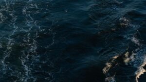 Brasil passa a integrar grupo que vai definir estratégias globais para monitoramento dos oceanos
