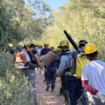 Brigadistas comunitários vão atuar nos incêndios florestais em Goiás
