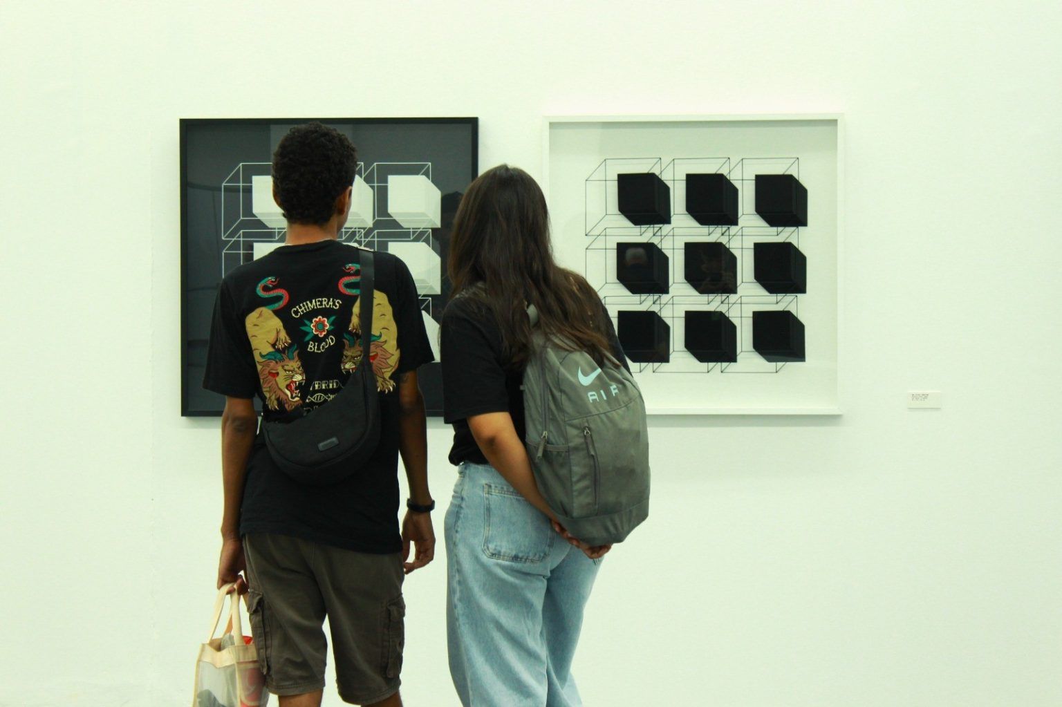 Centro Cultural Octo Marques recebe bate-papo sobre mostra de Evandro Soares