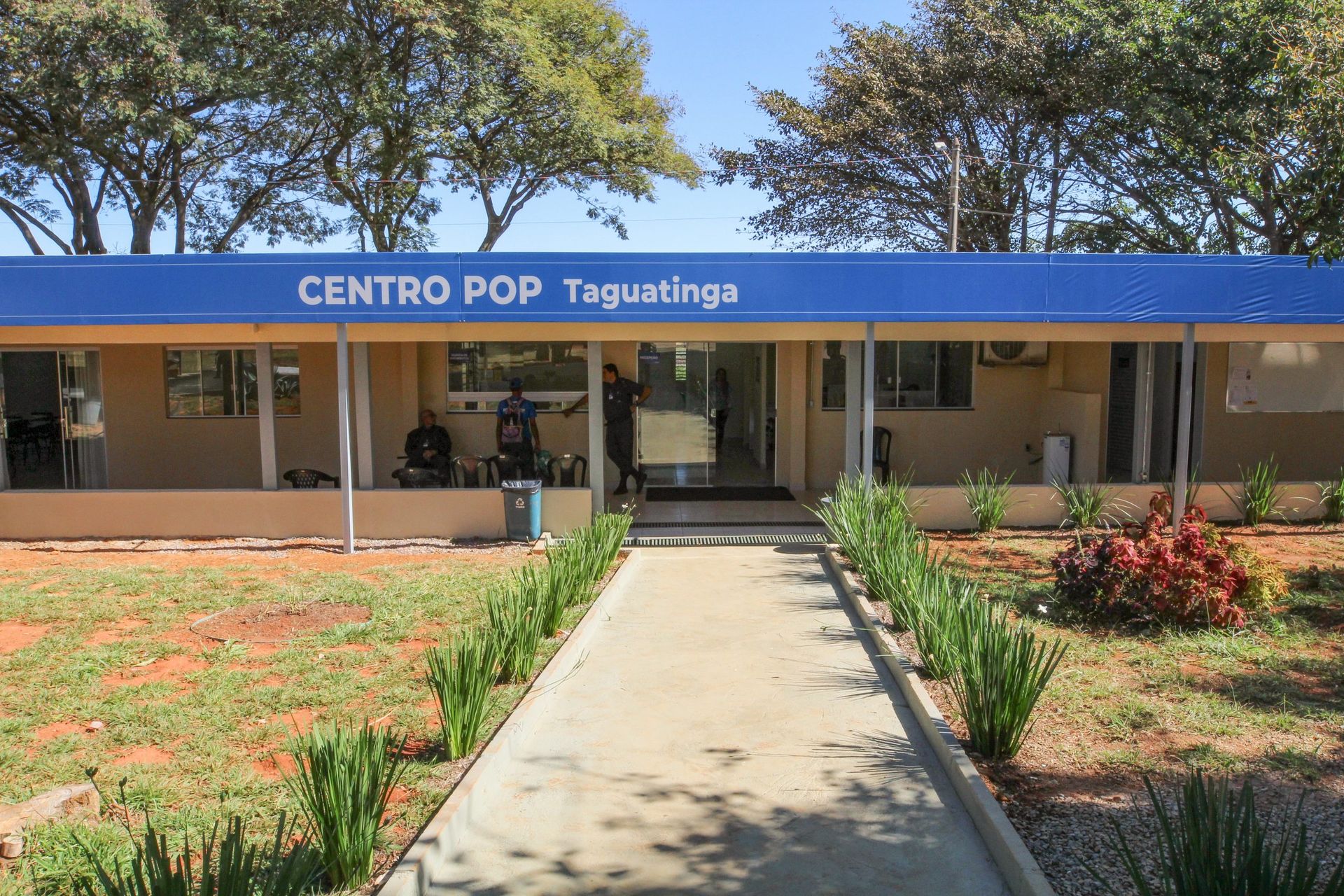 Centro Pop Taguatinga ganha horta medicinal comunitária