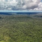 Ciência e tecnologia têm papel de destaque na redução histórica do desmatamento na Amazônia