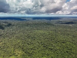 Ciência e tecnologia têm papel de destaque na redução histórica do desmatamento na Amazônia