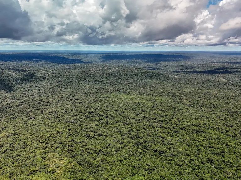 Ciência e tecnologia têm papel de destaque na redução histórica do desmatamento na Amazônia