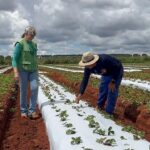 De trabalhadores rurais a proprietários que se tornaram referência na produção agrícola
