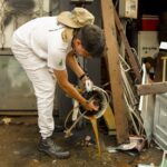 Dengue e chikungunya: saiba diferenciar os sintomas